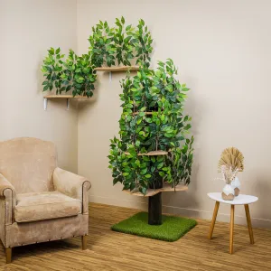 5-ft Interchangeable Leaves Cat Tree & Canopies Bundle