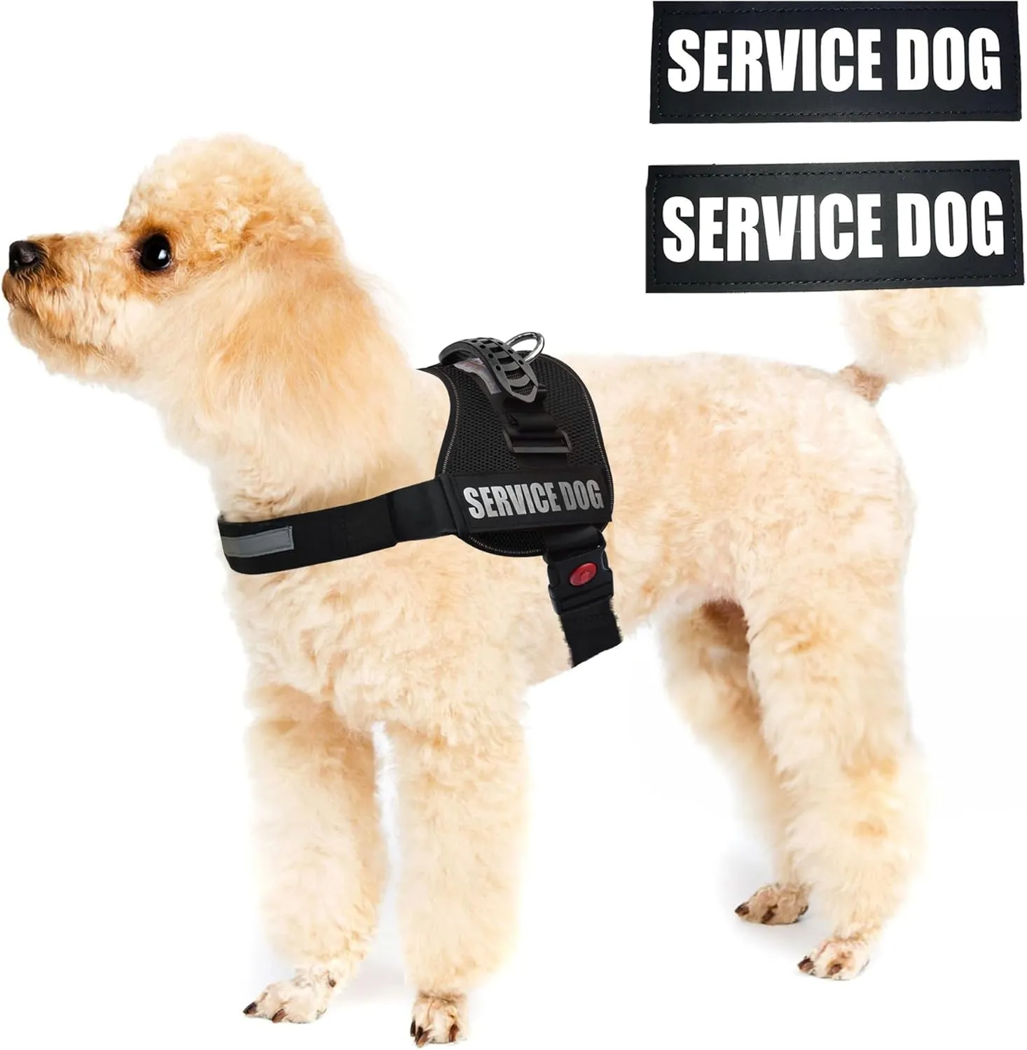 ALBCORP Reflective Service Dog Vest Harness  No-Pull Harness with Handle & Comfy Mesh Padding  Available in Sizes XXS-XL with 2 Removable Hook & Loop Service Dog Patches, Extra Small, Black