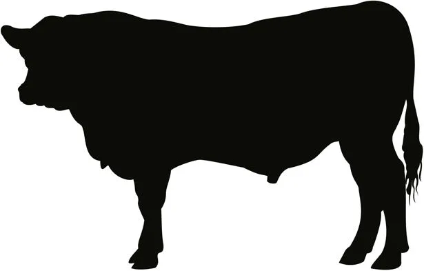 Beef Pet Blend Raw