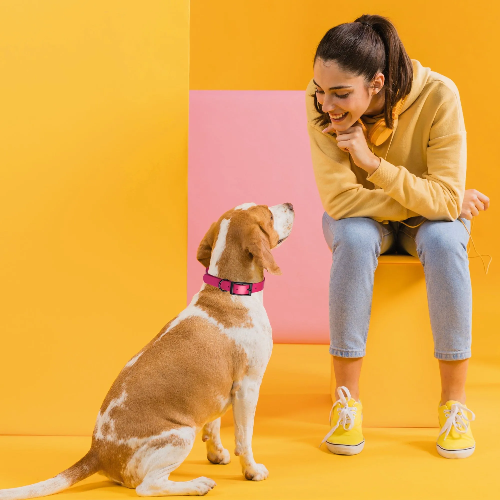 Biothane Waterproof Collar - Medium (15 to 18 inches)