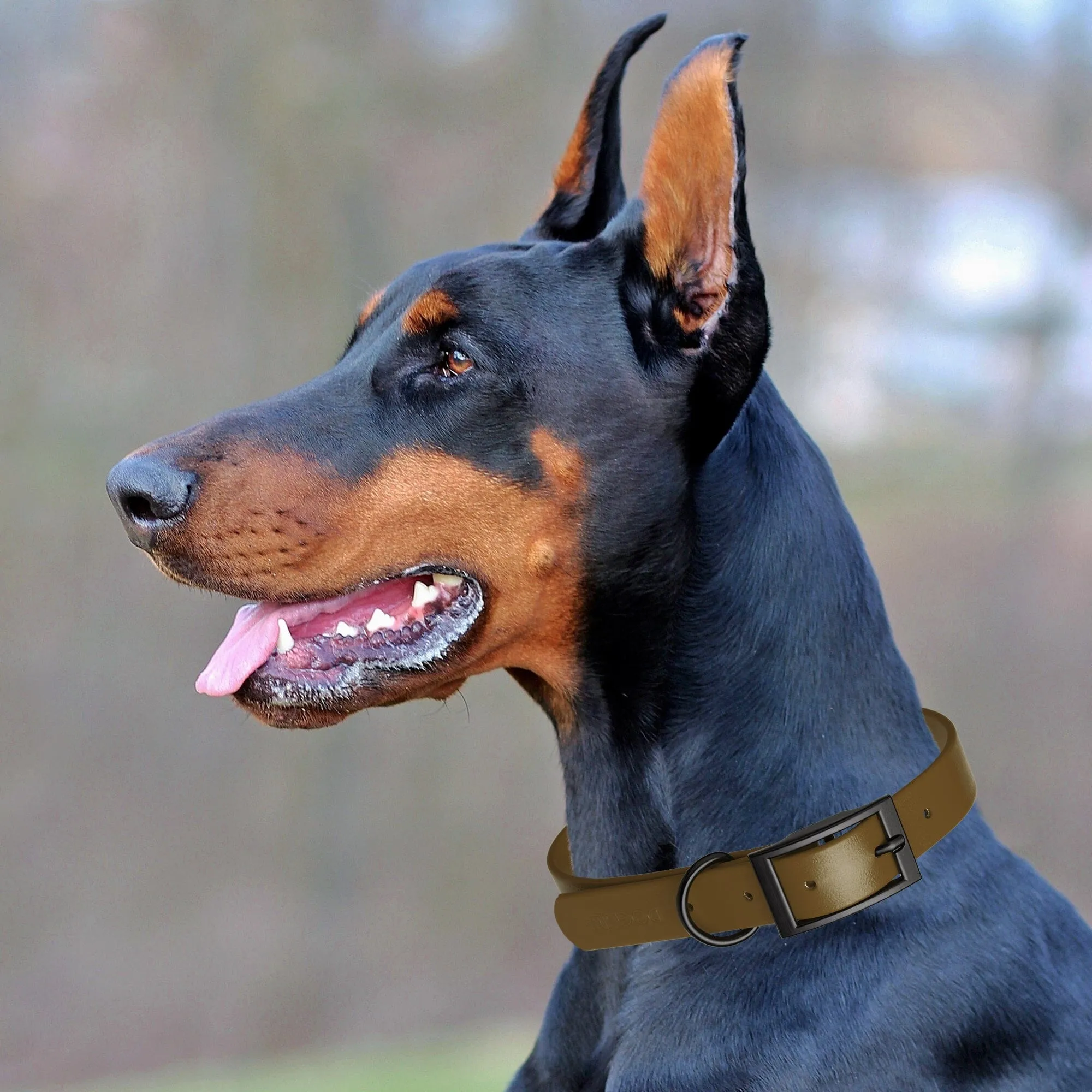 Biothane Waterproof Collar - Medium (15 to 18 inches)
