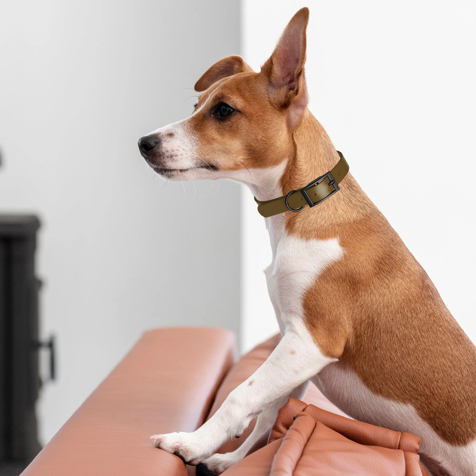 Biothane Waterproof Collar - X-Large (22 to 25 inches)