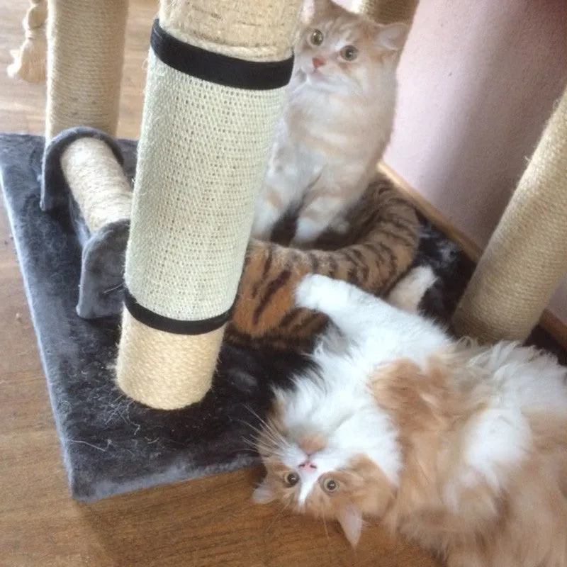 Cat Scratching Pad Cat Scratcher Protector Furniture