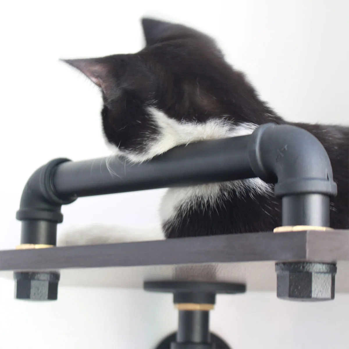 Corner Cat Wall Shelves | Rubber Wood |  Smoky