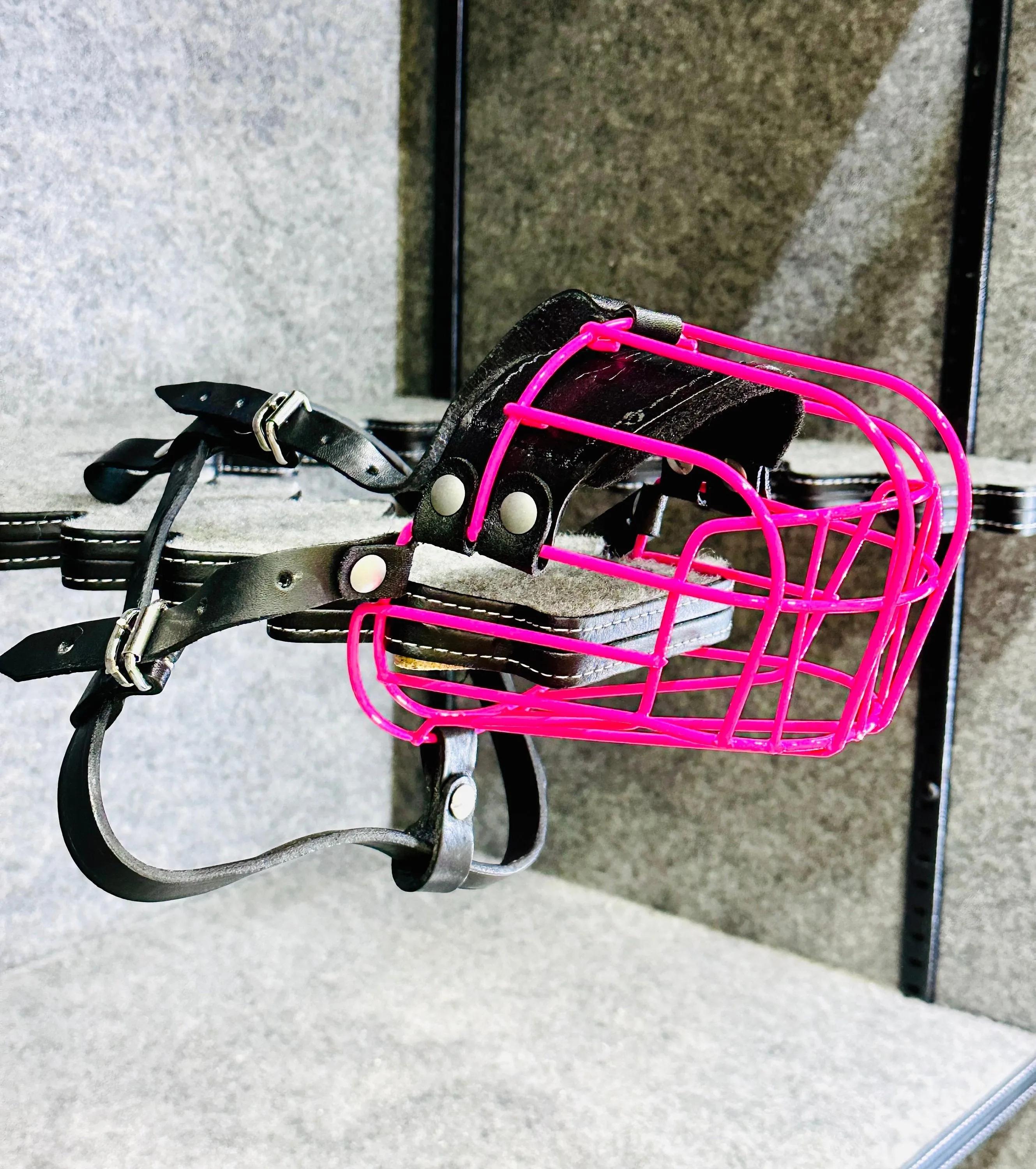 Custom Powder Coated  Metal Wire Basket Dog Muzzle (Neutral Colors)