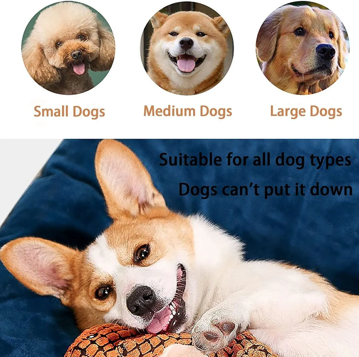 DinoFun: Squeaky Plush Dinosaur Toys - Interactive Chew Toys for Dogs. Plush Stuffing Pet Supplies for Small Dog Chew Molar Fun!