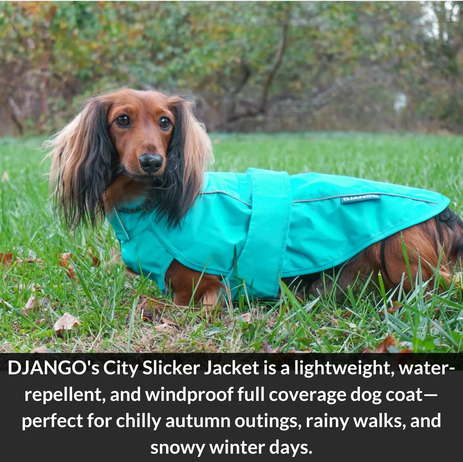 DJANGO City Slicker Waterproof Dog Raincoat and Lightweight Jacket for Long Dogs - Full Coverage Puppy Coat and Reflective Rain Slicker and Windbreaker - Adjustable with Harness Hole (Blue, Large)