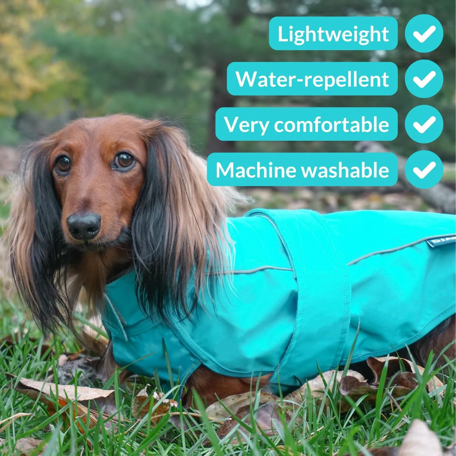 DJANGO City Slicker Waterproof Dog Raincoat and Lightweight Jacket for Long Dogs - Full Coverage Puppy Coat and Reflective Rain Slicker and Windbreaker - Adjustable with Harness Hole (Blue, Large)