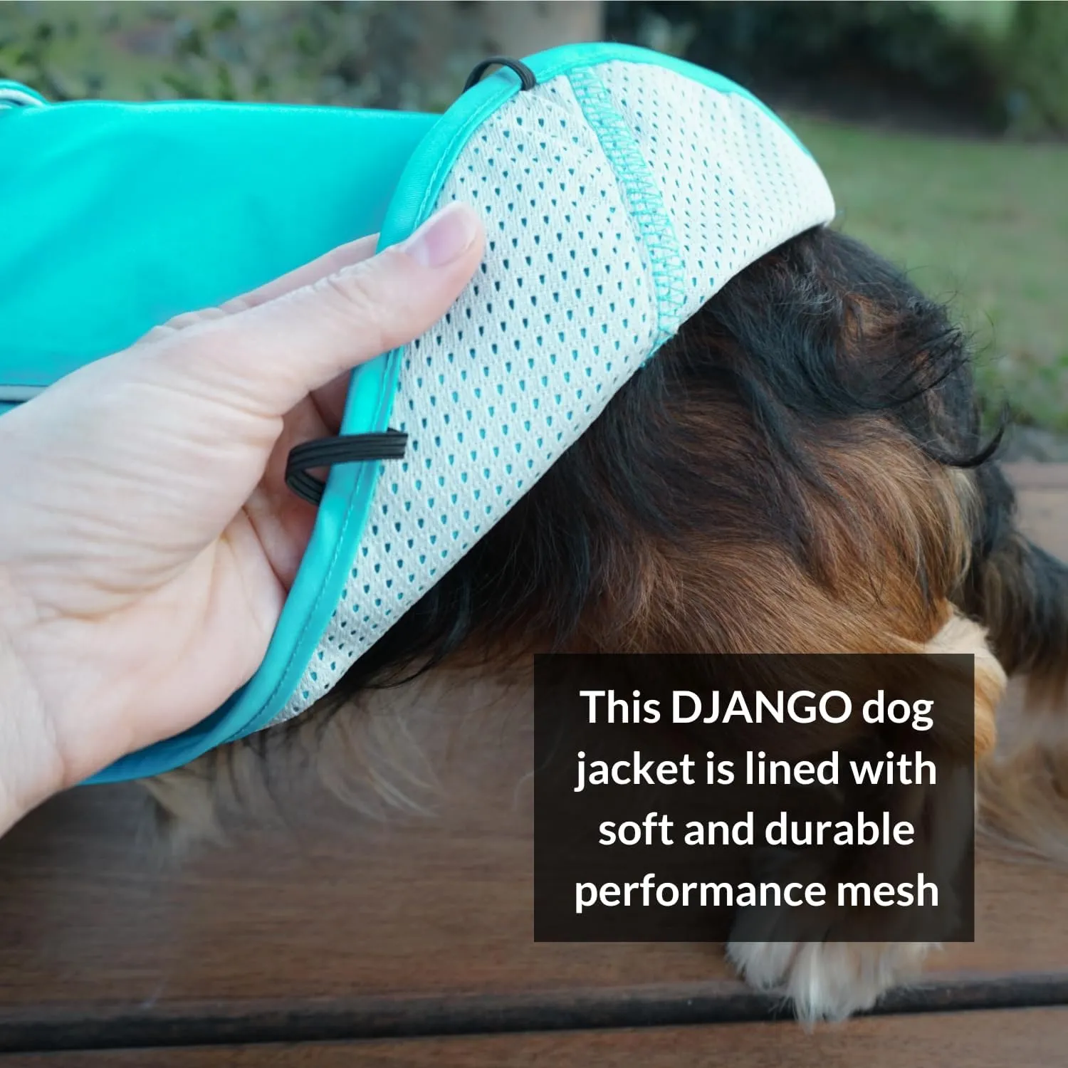 DJANGO City Slicker Waterproof Dog Raincoat and Lightweight Jacket for Long Dogs - Full Coverage Puppy Coat and Reflective Rain Slicker and Windbreaker - Adjustable with Harness Hole (Blue, Large)