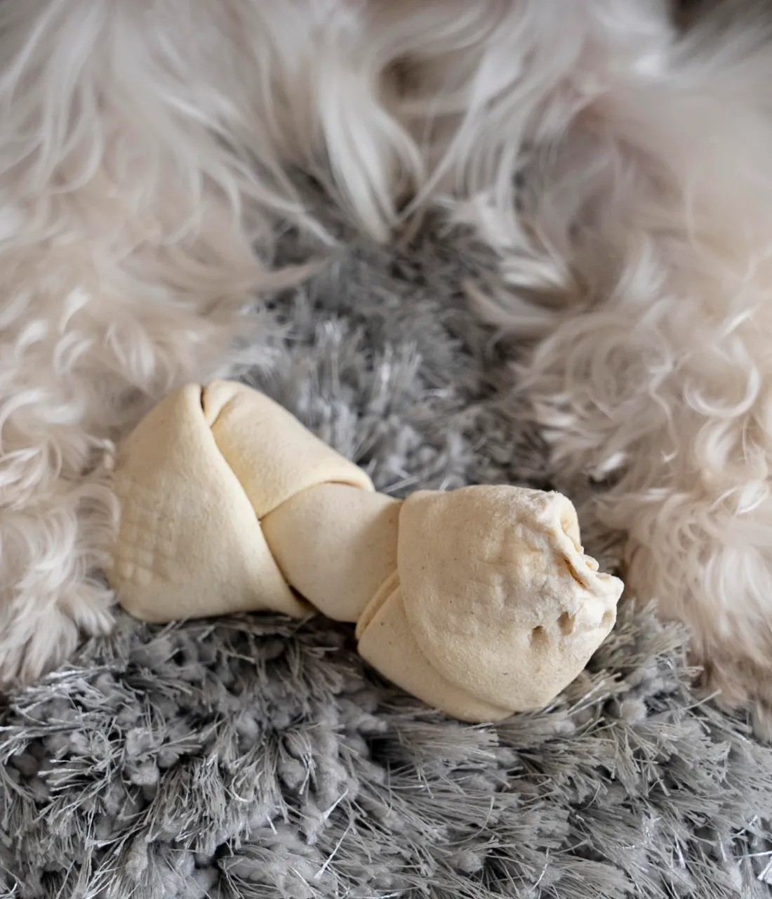 Dog bone toy