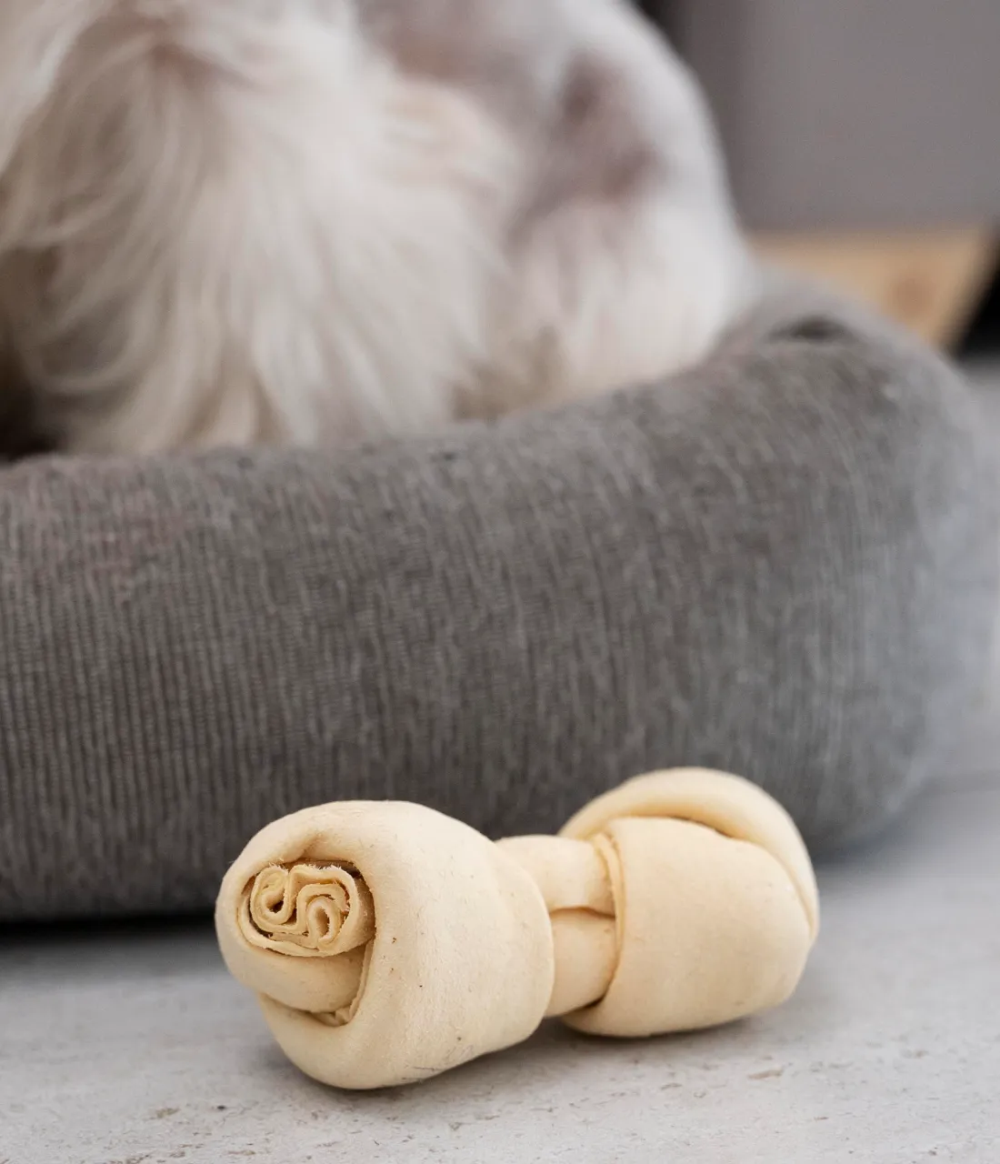 Dog bone toy
