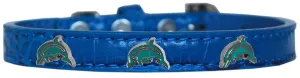 Dolphin Widget Croc Dog Collar Blue Size 16