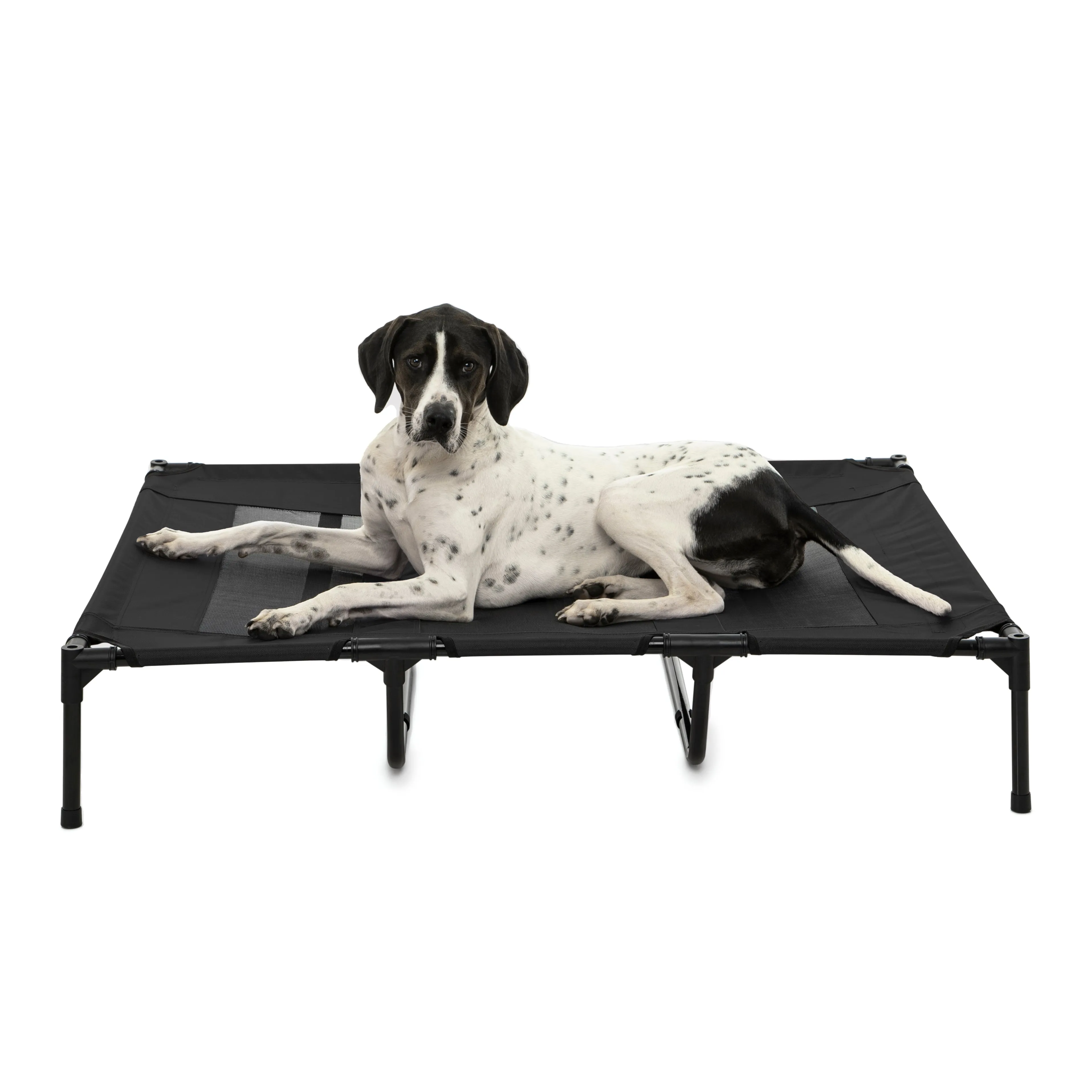 Elevated Dog Bed With Tent - Black