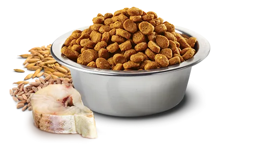 Farmina Ocean N&D Natural & Delicious Ancestral Grain Mini Adult Cod, Spelt, Oats & Orange Dry Dog Food