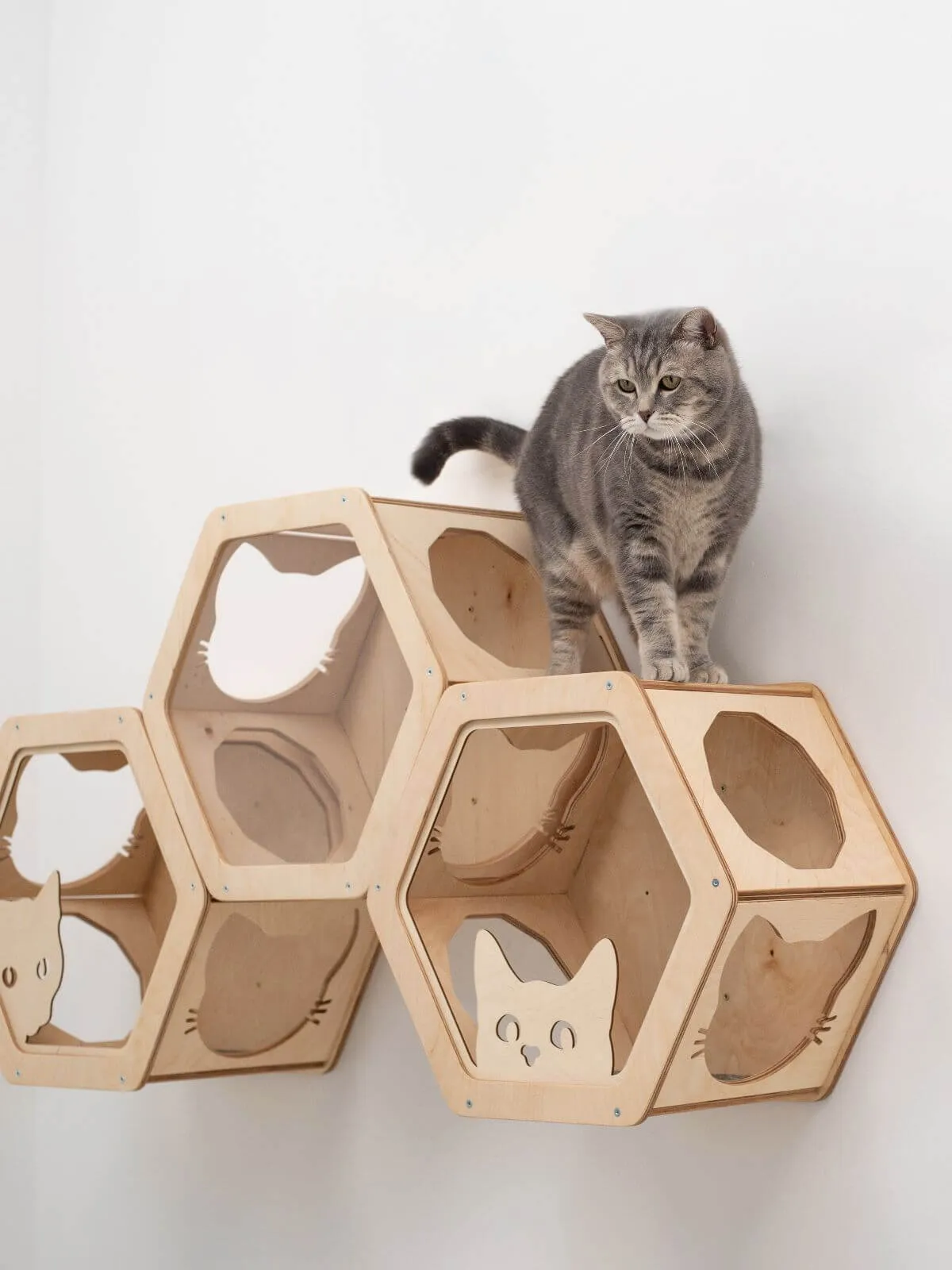 Honeycomb Cat Shelves Light