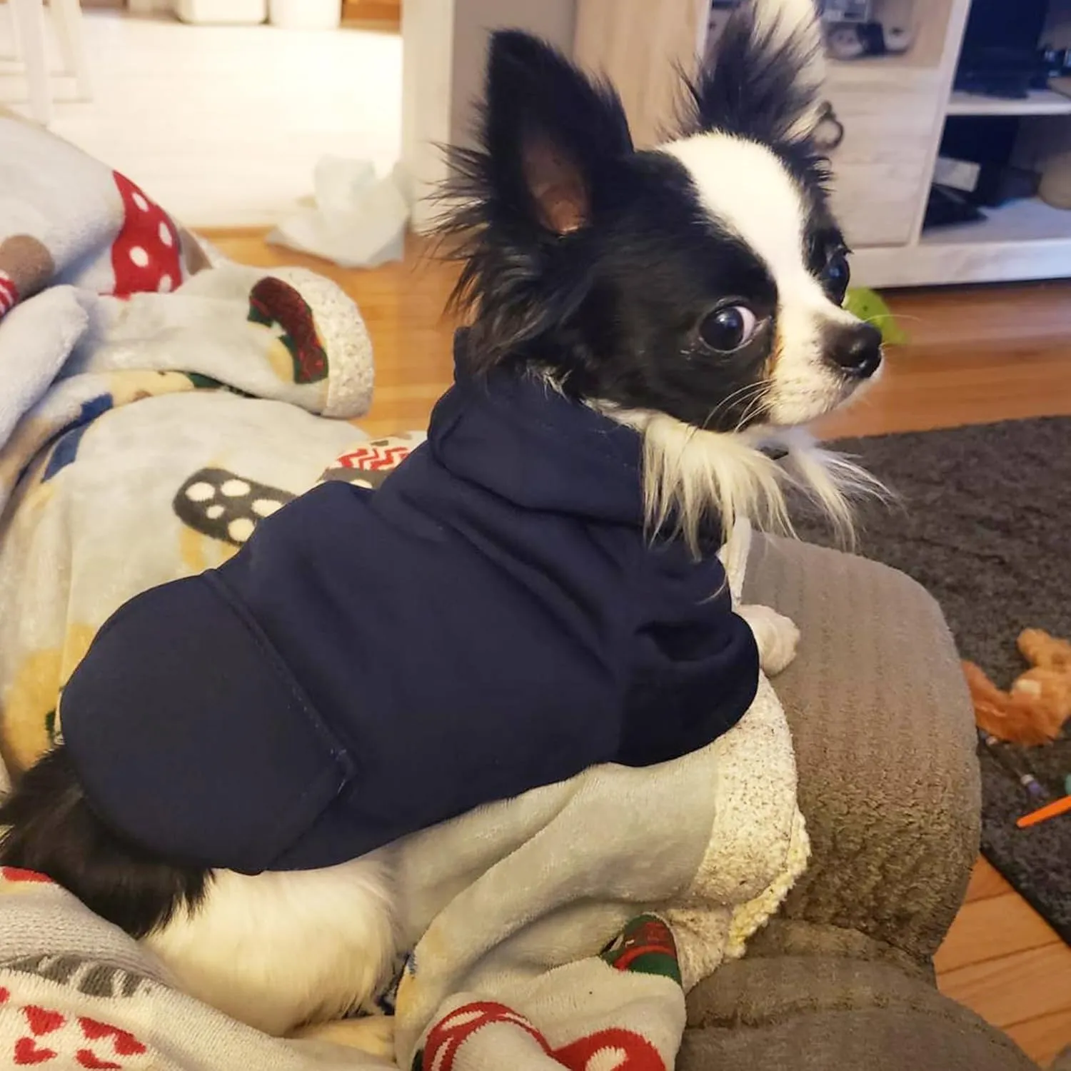 Jecikelon Winter Dog Hoodie Sweatshirts with Pockets Warm Dog Clothes for Small Dogs Chihuahua Coat Clothing Puppy Cat Custume (Navy, Large)