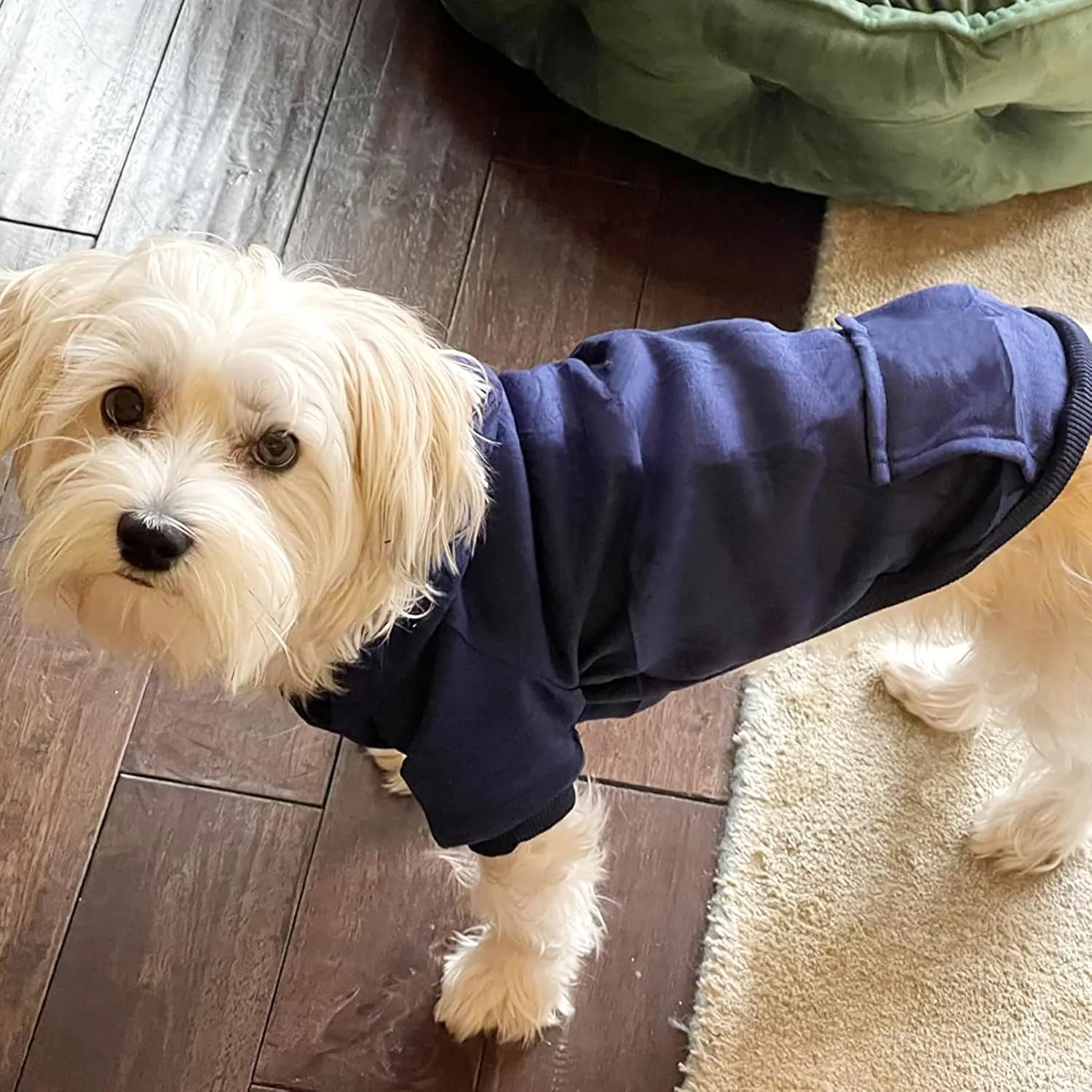 Jecikelon Winter Dog Hoodie Sweatshirts with Pockets Warm Dog Clothes for Small Dogs Chihuahua Coat Clothing Puppy Cat Custume (Navy, Large)