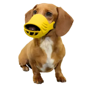 Medium Silicone Muzzle for Dogs by Artero