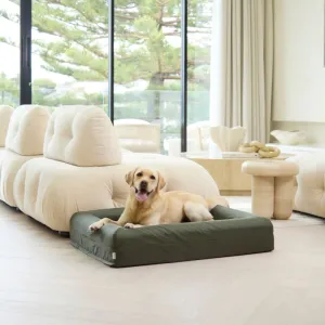Memory Foam Dog Bed - Armour Pine Green