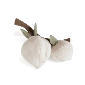 momo enrichment toy