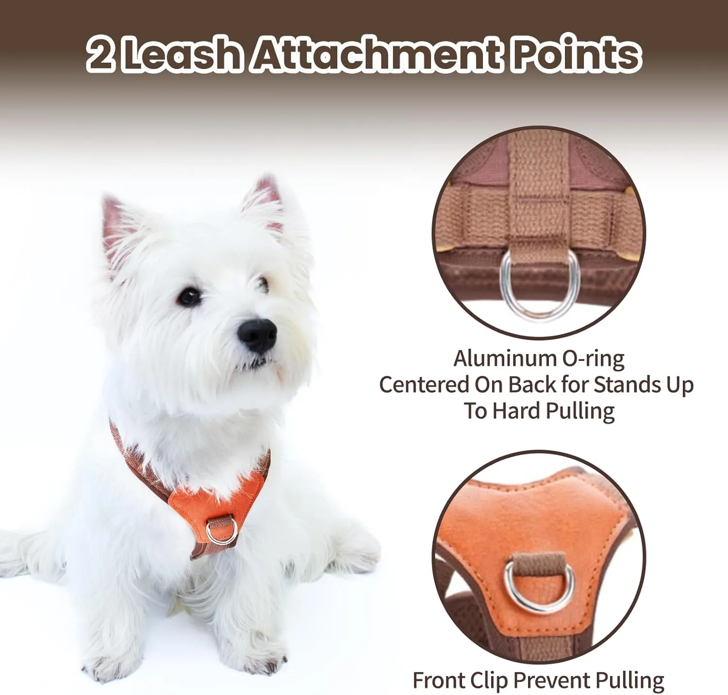 No-Pull No-Choke Dog Harness and Leash Set - Adjustable Soft Padded Vest, Lightweight Retro Design for Small Medium Dogs and Puppies, Easy Control and Comfortable Walk (Blue, M)
