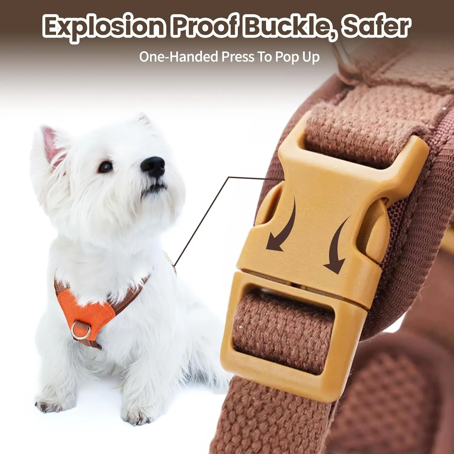 No-Pull No-Choke Dog Harness and Leash Set - Adjustable Soft Padded Vest, Lightweight Retro Design for Small Medium Dogs and Puppies, Easy Control and Comfortable Walk (Blue, M)