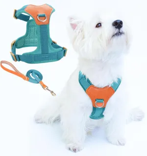 No-Pull No-Choke Dog Harness and Leash Set - Adjustable Soft Padded Vest, Lightweight Retro Design for Small Medium Dogs and Puppies, Easy Control and Comfortable Walk (Blue, M)