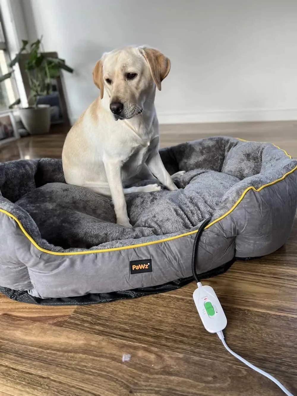 PaWz Electric Pet Heater Bed Thermal Protection