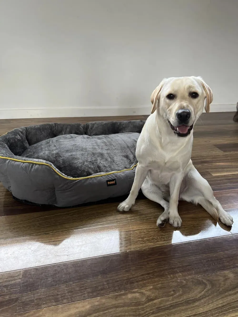 PaWz Electric Pet Heater Bed Thermal Protection