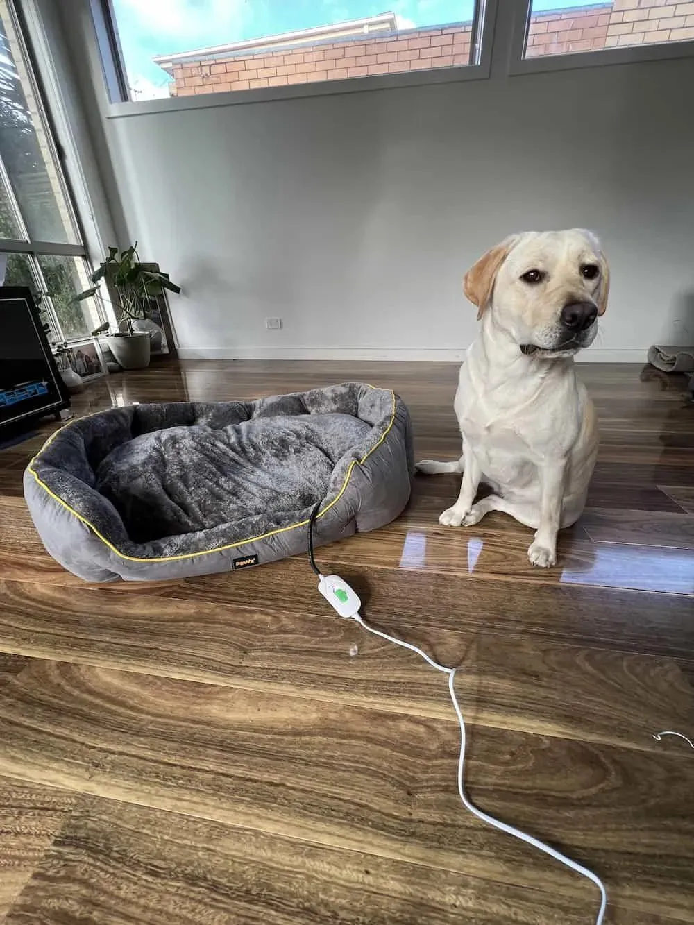 PaWz Electric Pet Heater Bed Thermal Protection