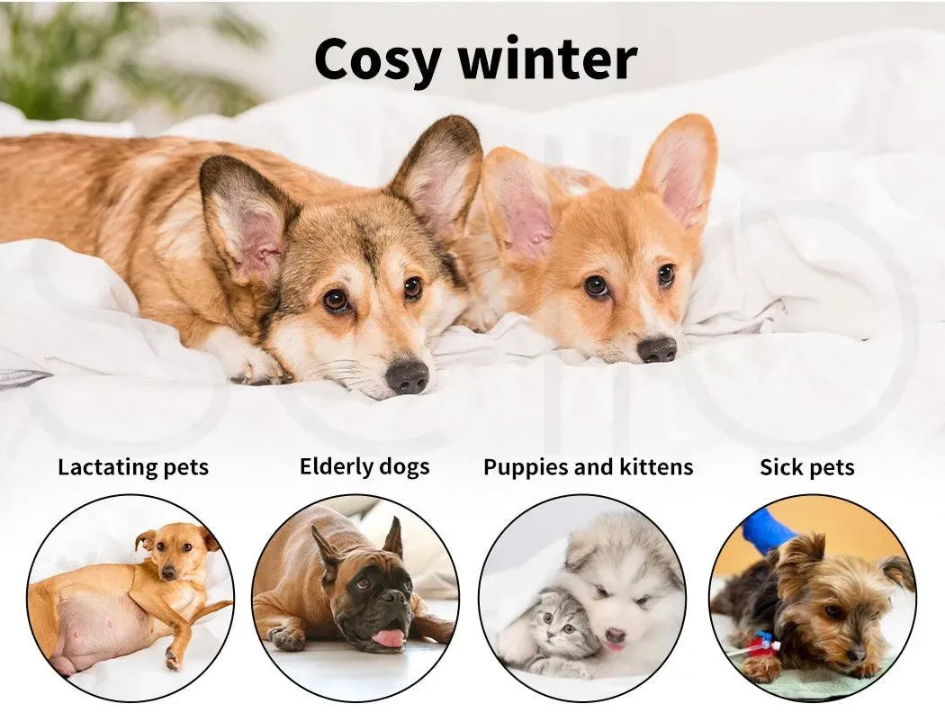 PaWz Electric Pet Heater Bed Thermal Protection