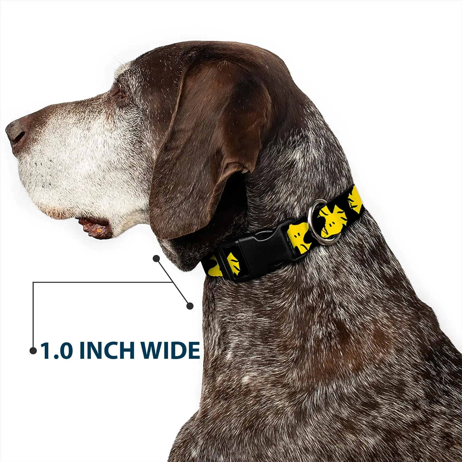 Peanuts Worldwide LLC Pet Collar, Dog Collar Plastic Buckle, Peanuts Woodstock Face Flip Black Yellow, 16 to 23 Inches 1.5 Inch Wide