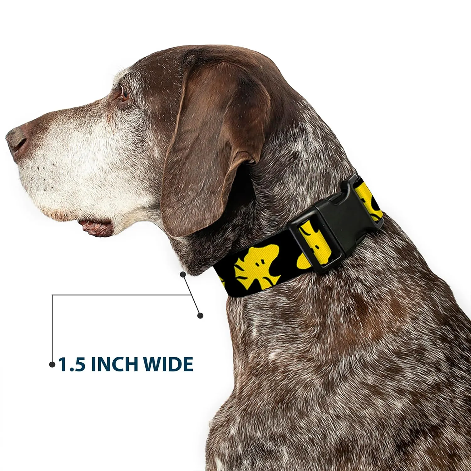 Peanuts Worldwide LLC Pet Collar, Dog Collar Plastic Buckle, Peanuts Woodstock Face Flip Black Yellow, 16 to 23 Inches 1.5 Inch Wide