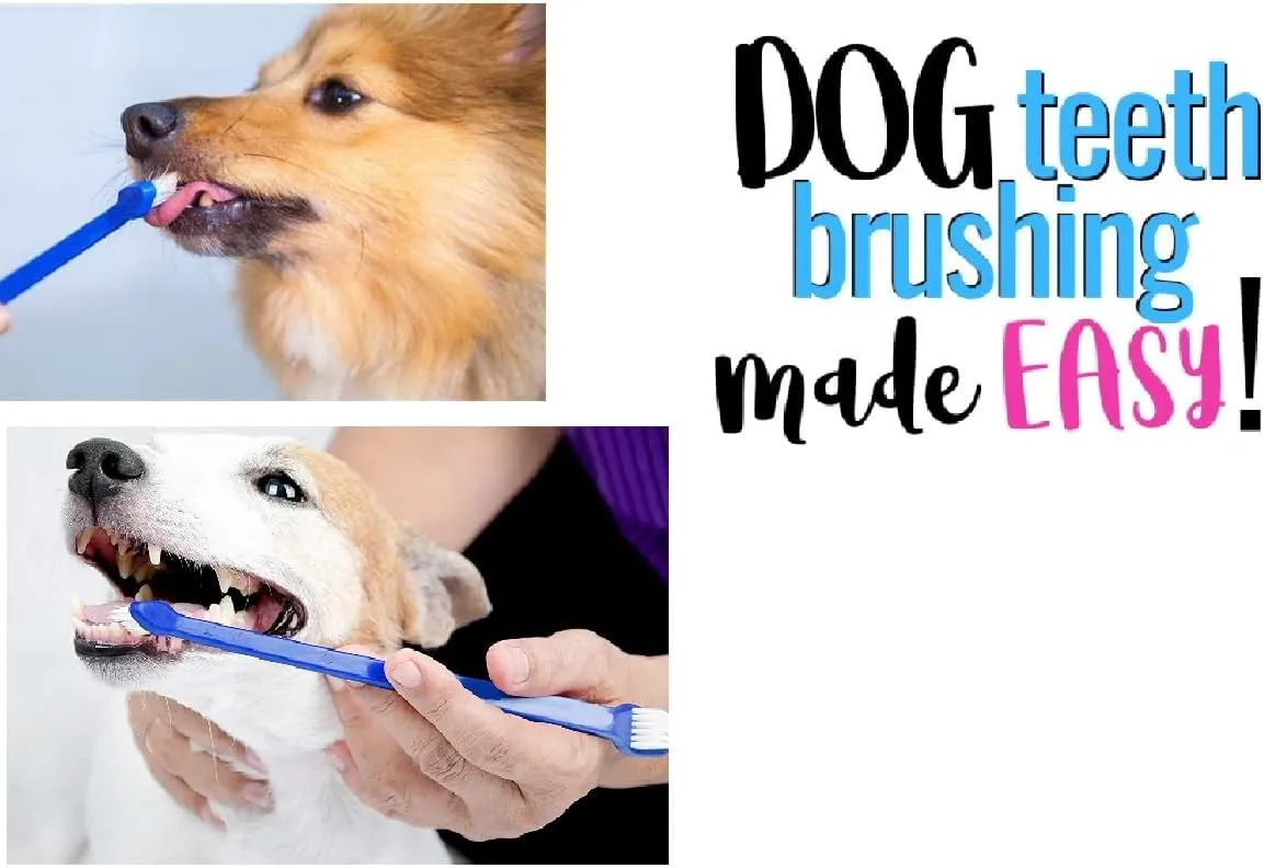 Pet Toothbrush Dual End Bulk Packs Dog and Cat Oral Health Select Color Quantity Great for Gifts and Donations (Royal Blue - 25 Toothbrushes)