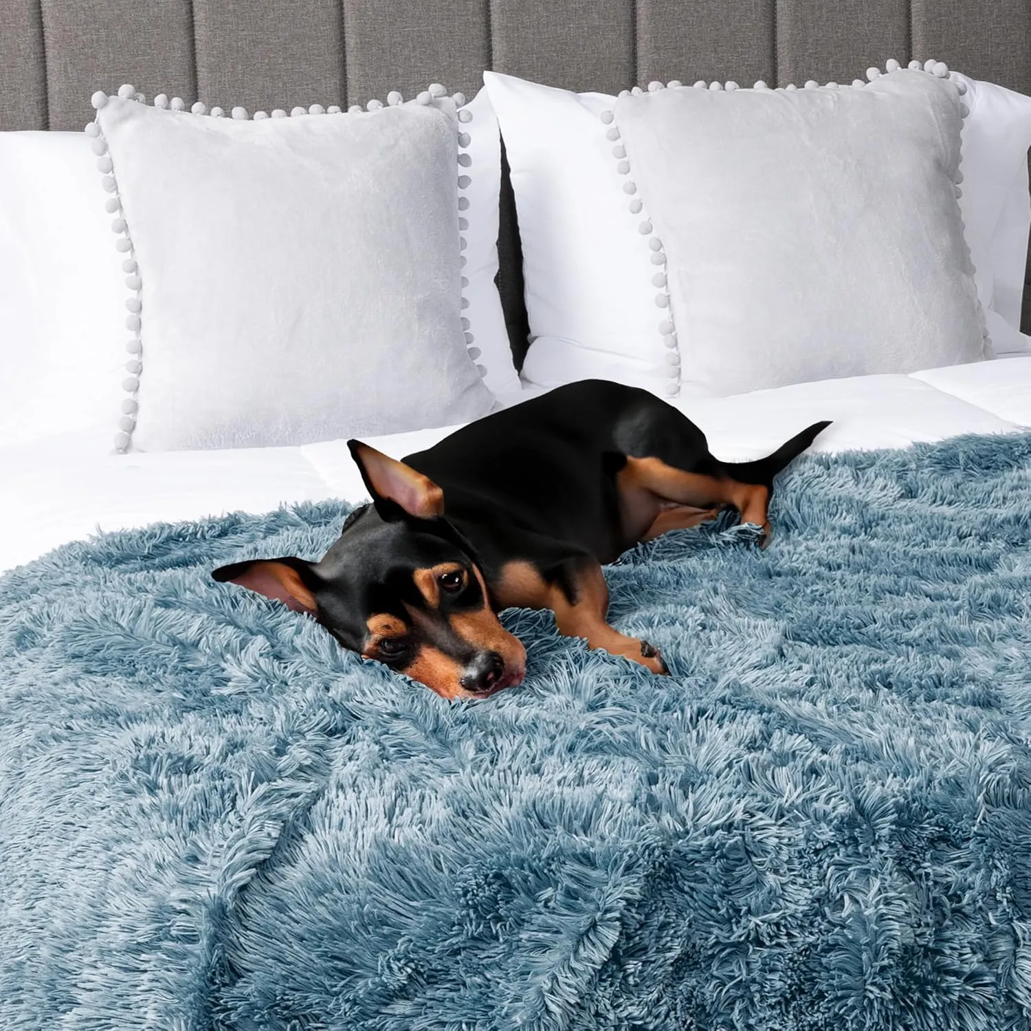 PetAmi Waterproof Dog Blanket for Small Medium Dogs, Calming Fleece Cat Blanket, Couch Protector Washable Sherpa Faux Fur Pet Throw for Puppy, Soft Reversible 29x40 Light Blue