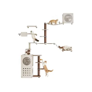 Planet Set of 10 Cat Wall Furniture