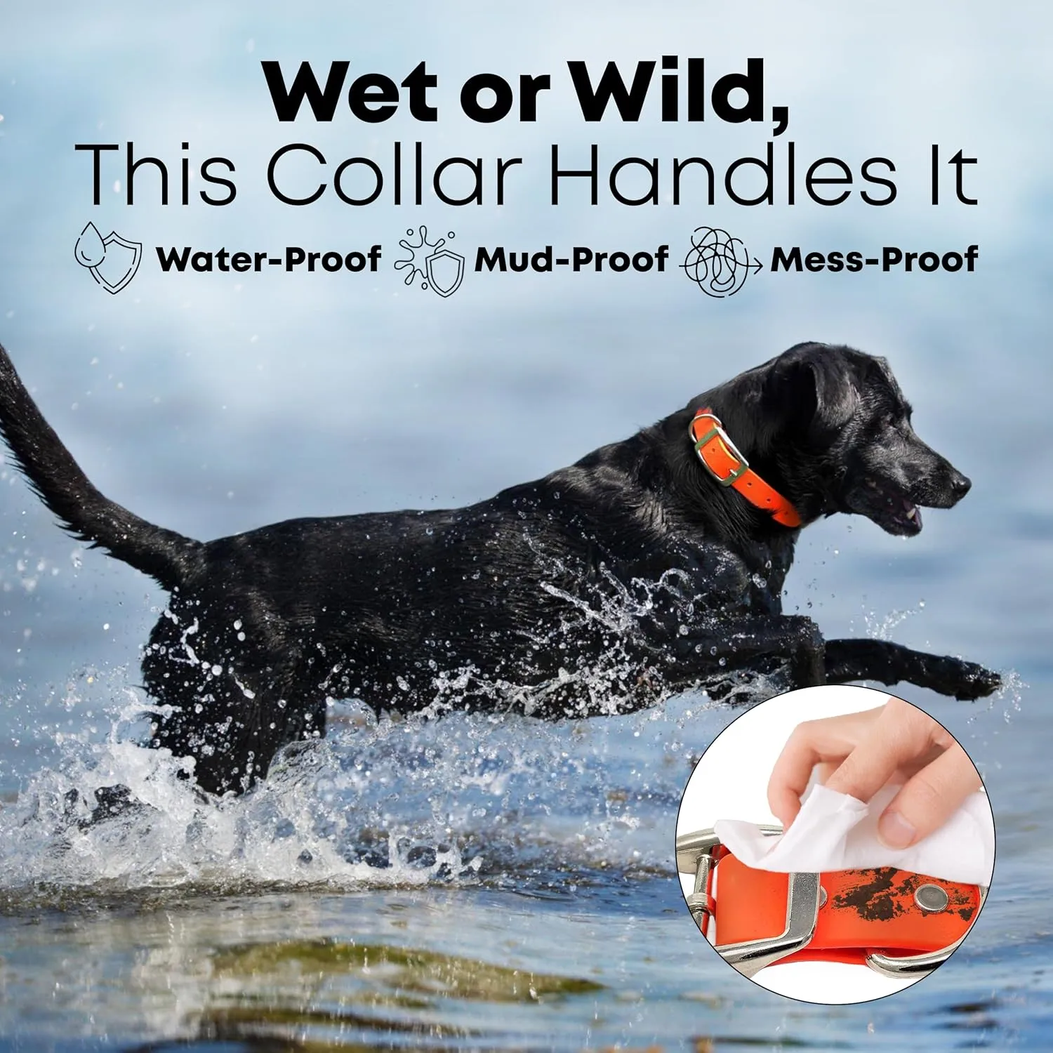 Regal Dog Products Large Orange Waterproof Dog Collar and Leash Set | Heavy Duty Double Buckle & D Ring - 5'ft Leash | Adjustable Biothane Dog Collar | Chew Resistant Waterproof Collar for Dogs
