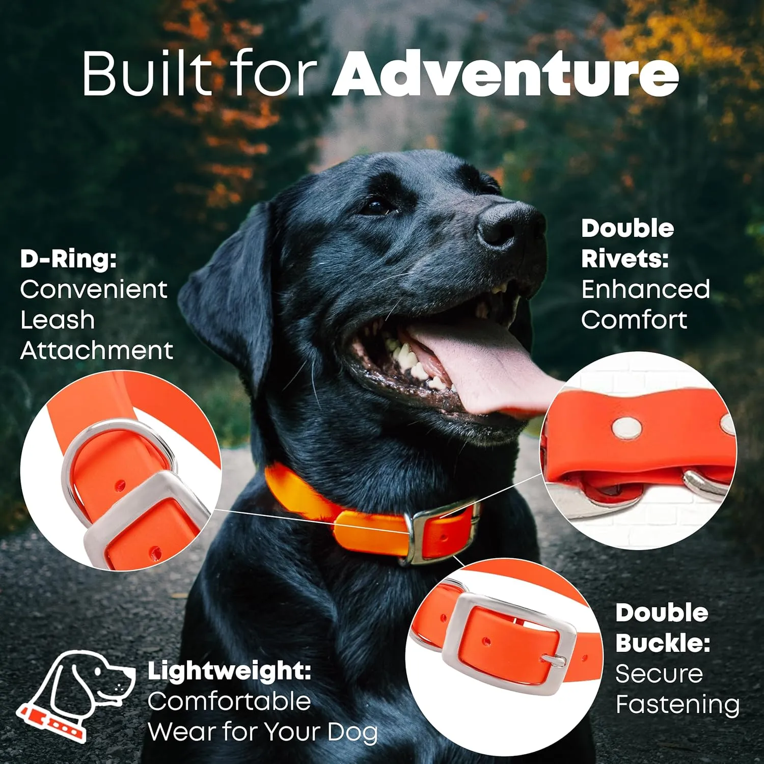 Regal Dog Products Large Orange Waterproof Dog Collar and Leash Set | Heavy Duty Double Buckle & D Ring - 5'ft Leash | Adjustable Biothane Dog Collar | Chew Resistant Waterproof Collar for Dogs