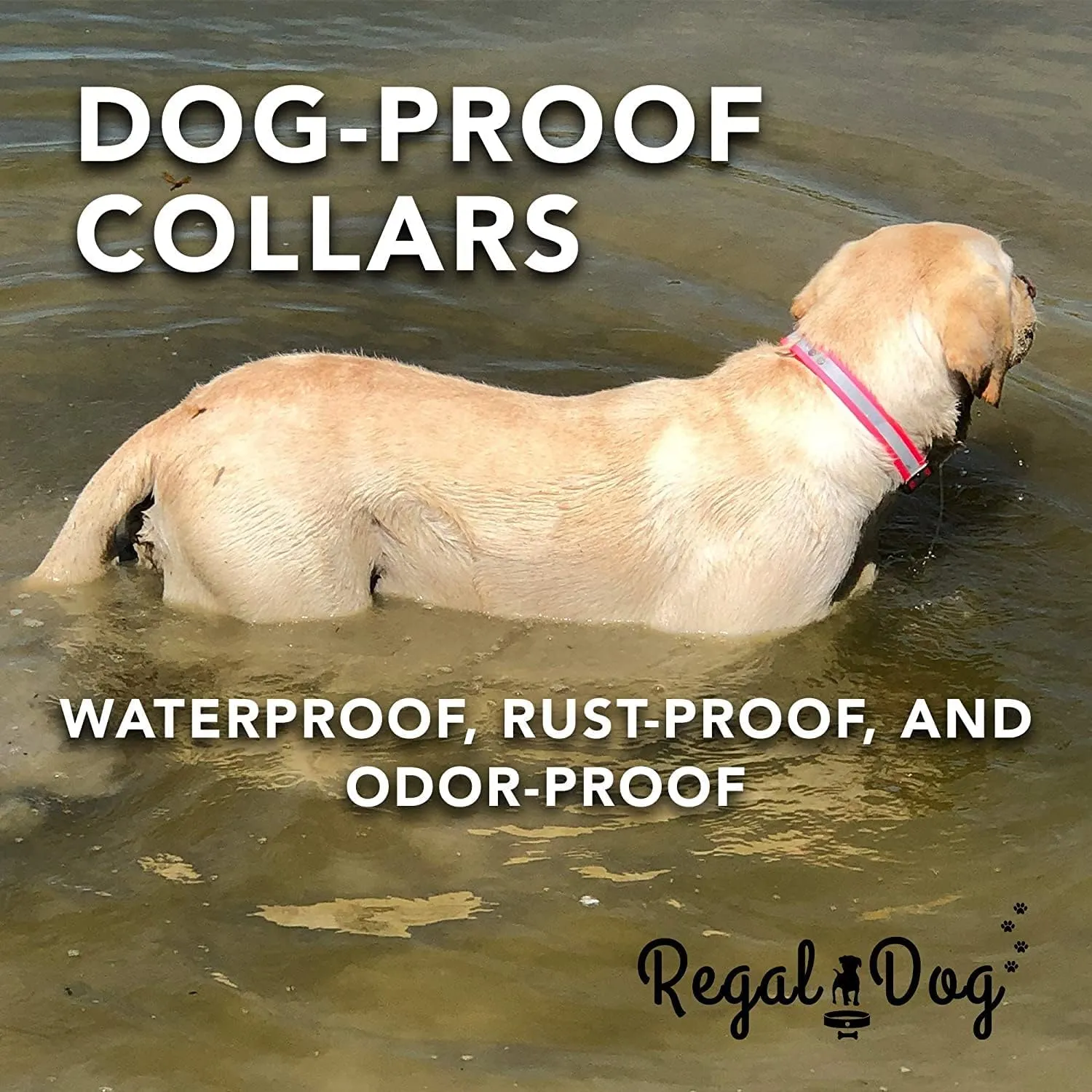 Regal Dog Products Small Blue Heavy Duty Reflective Dog Collar with Black Hardware Metal Buckle and D Ring | Adjustable Waterproof Dog Collar for Hunting Dogs - Other Sizes for Medium & Large Dogs