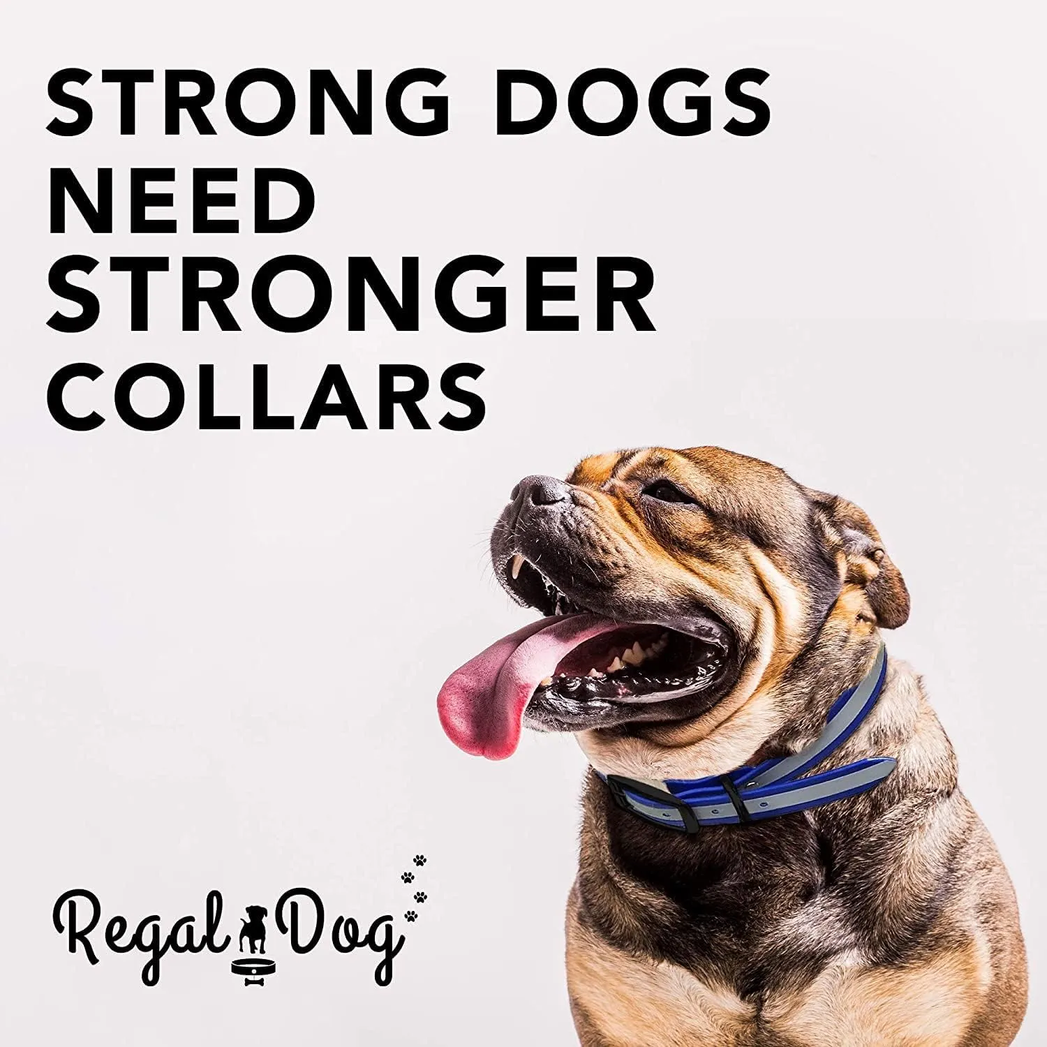 Regal Dog Products Small Blue Heavy Duty Reflective Dog Collar with Black Hardware Metal Buckle and D Ring | Adjustable Waterproof Dog Collar for Hunting Dogs - Other Sizes for Medium & Large Dogs