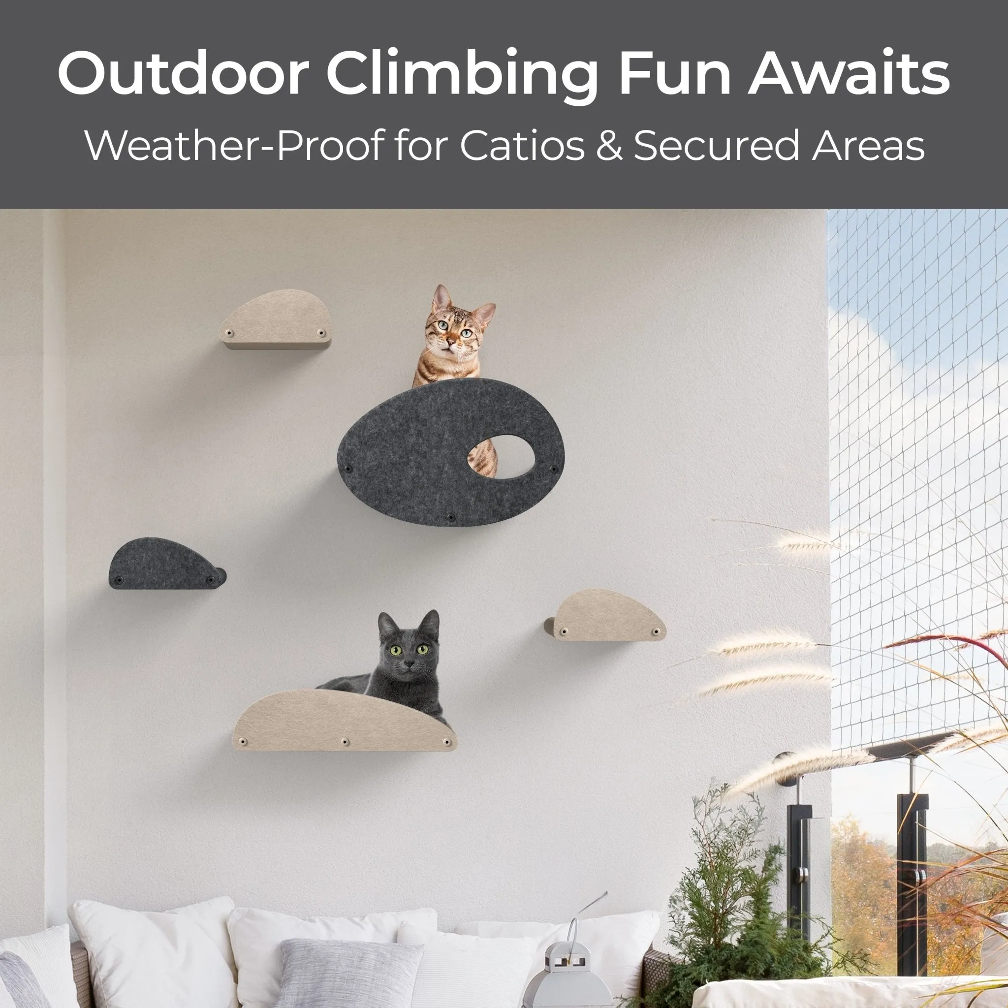 Set of 4 Charcoal Cat Climber Facade Add-Ons