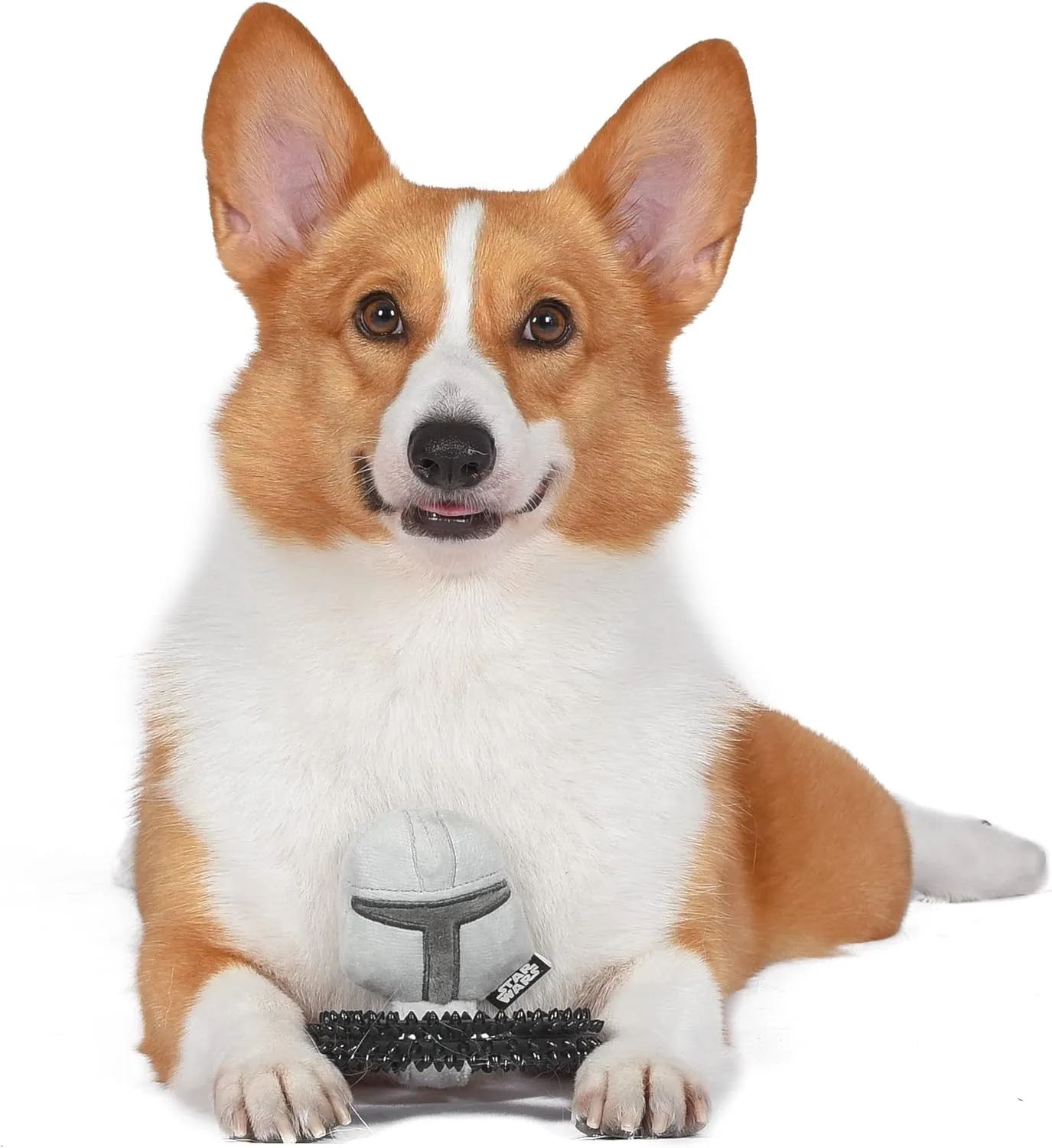 Star Wars for Pets The Mandalorian Puppy Ring Teether Toy | The Mandalorian Teething Toy for Puppies | Dog Toys, Puppy Teething Toys, Puppy Safe Chew Toys, Dog Chew Toys, 7 Inch (FF19270)