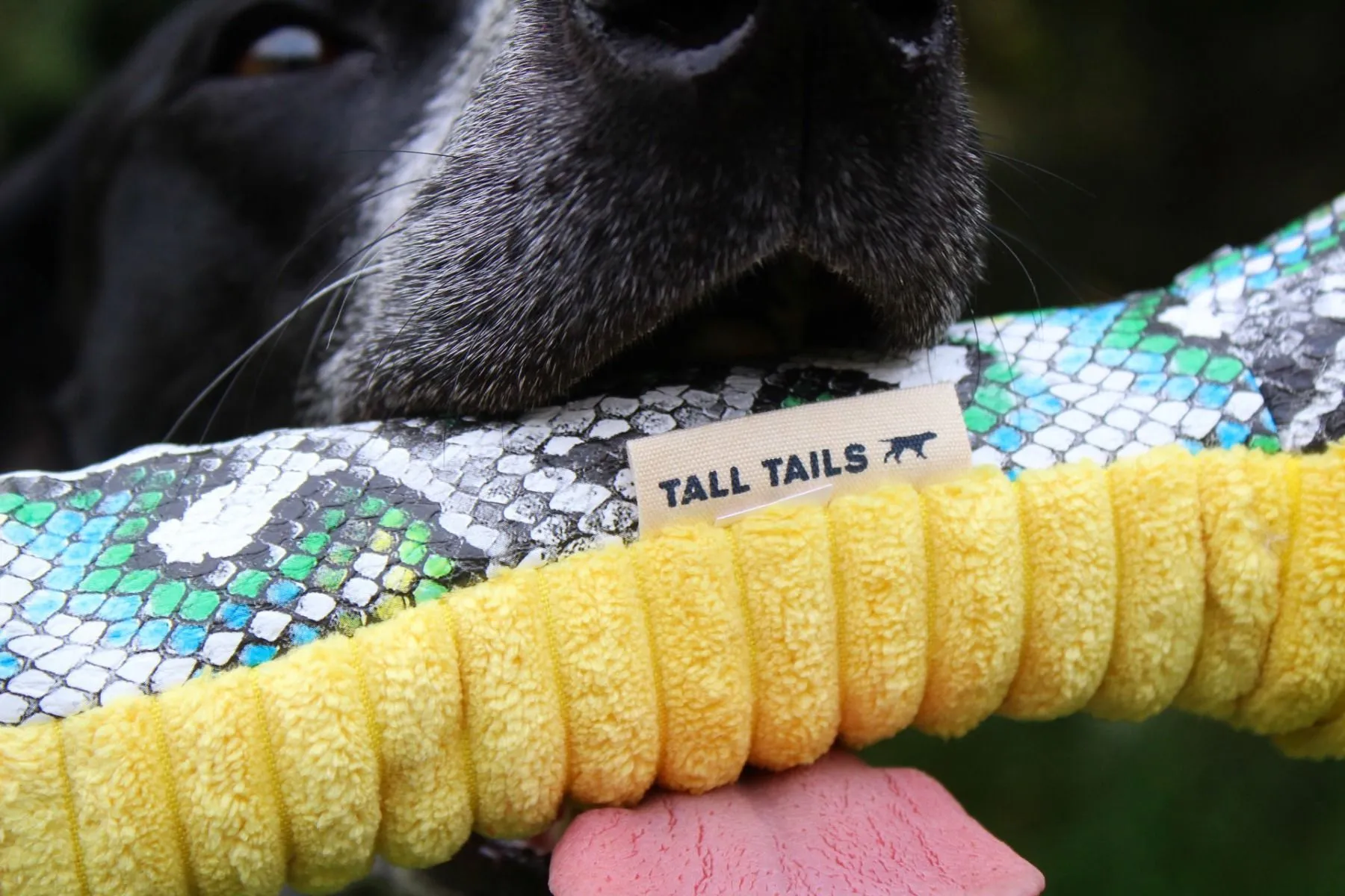 Tall Tails Dog Toy Crunch Snake
