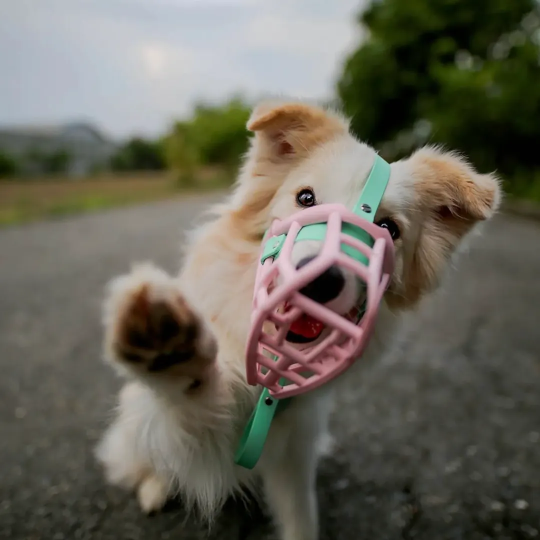 The Muzzle Movement Size Neli (Wholesale)