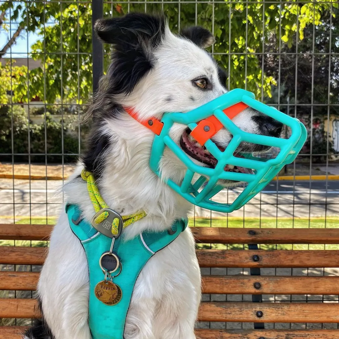 The Muzzle Movement Size Neli (Wholesale)