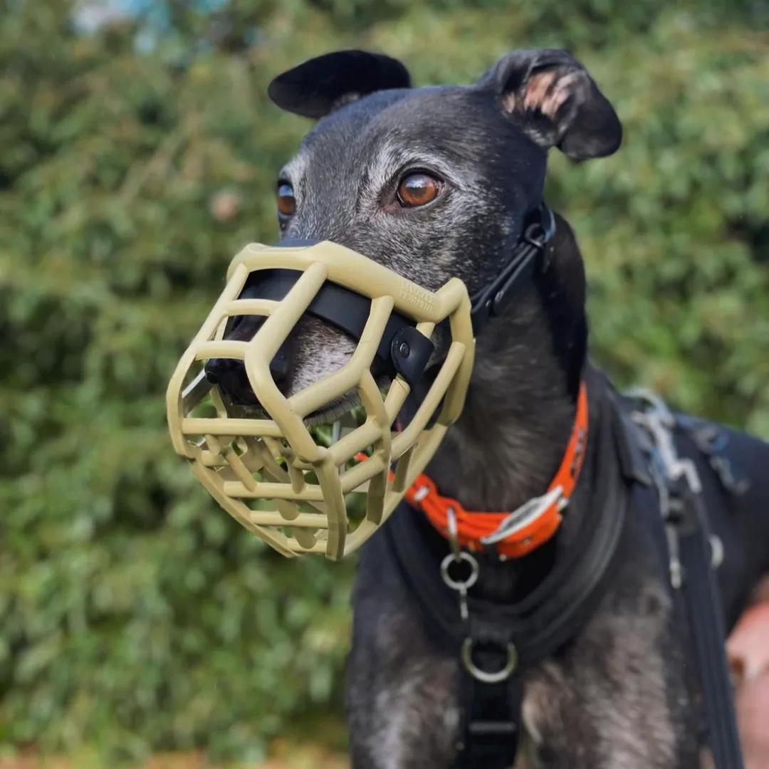 The Muzzle Movement Size Neli (Wholesale)
