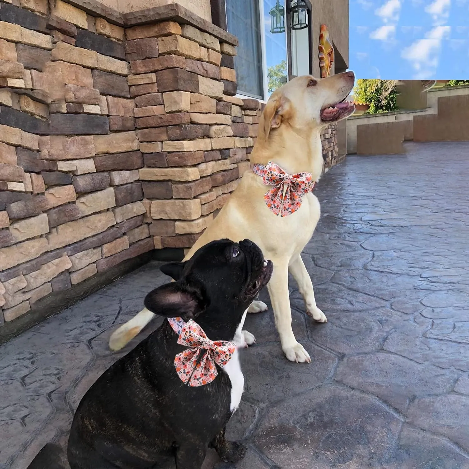 Unique style paws Dog Collar with Tie Adjustable Pink Bowtie Puppy Collars for Small Medium Large Dogs and Cats-S