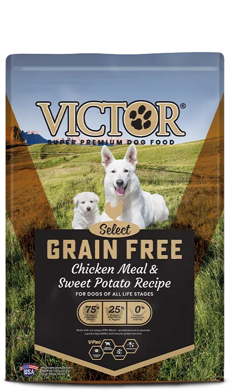 Victor Pet Grain Free Chicken Meal & Sweet Potato Recipe