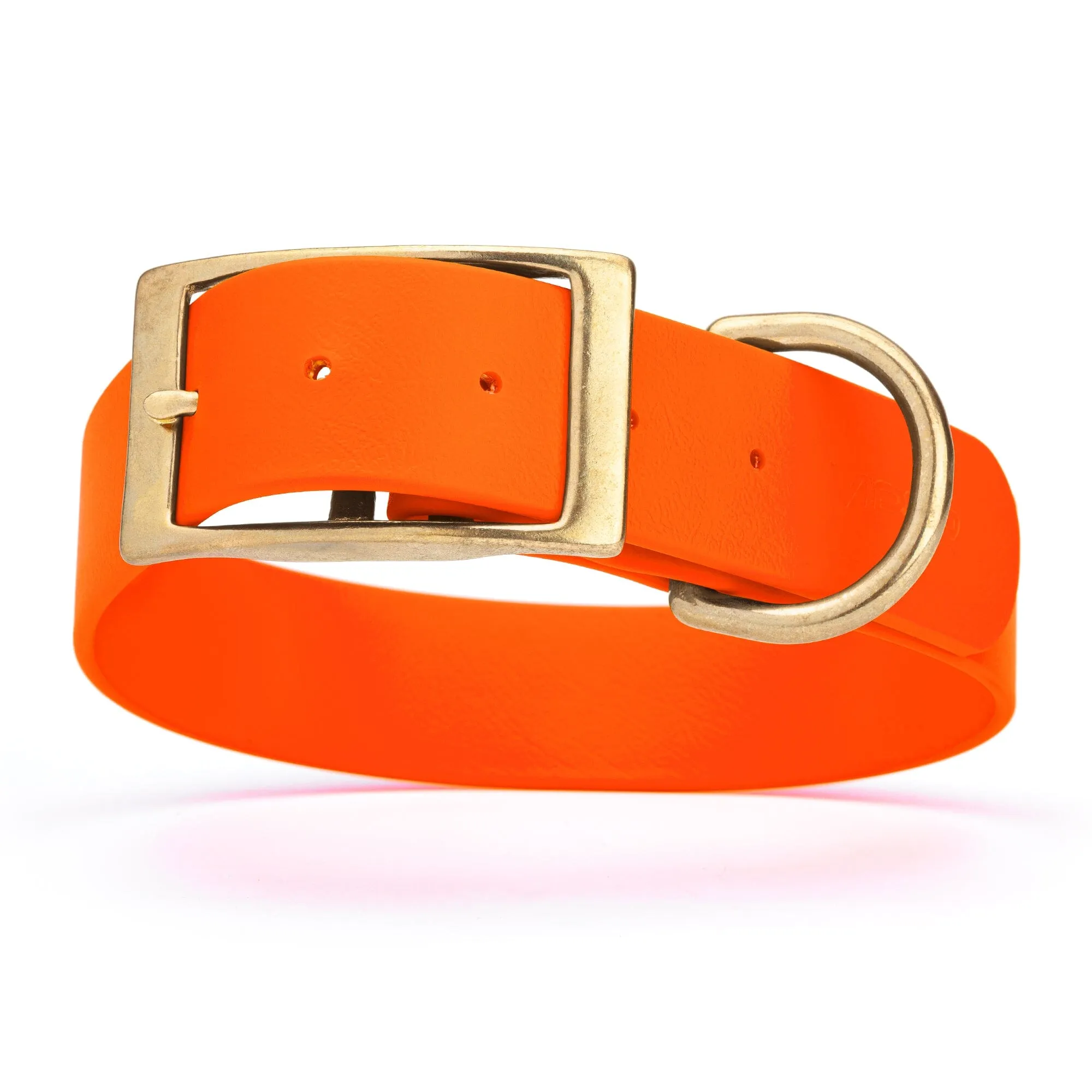 Viper Biothane Waterproof Dog Collar - Brass Hardware - Wide - Size L (16" - 20")