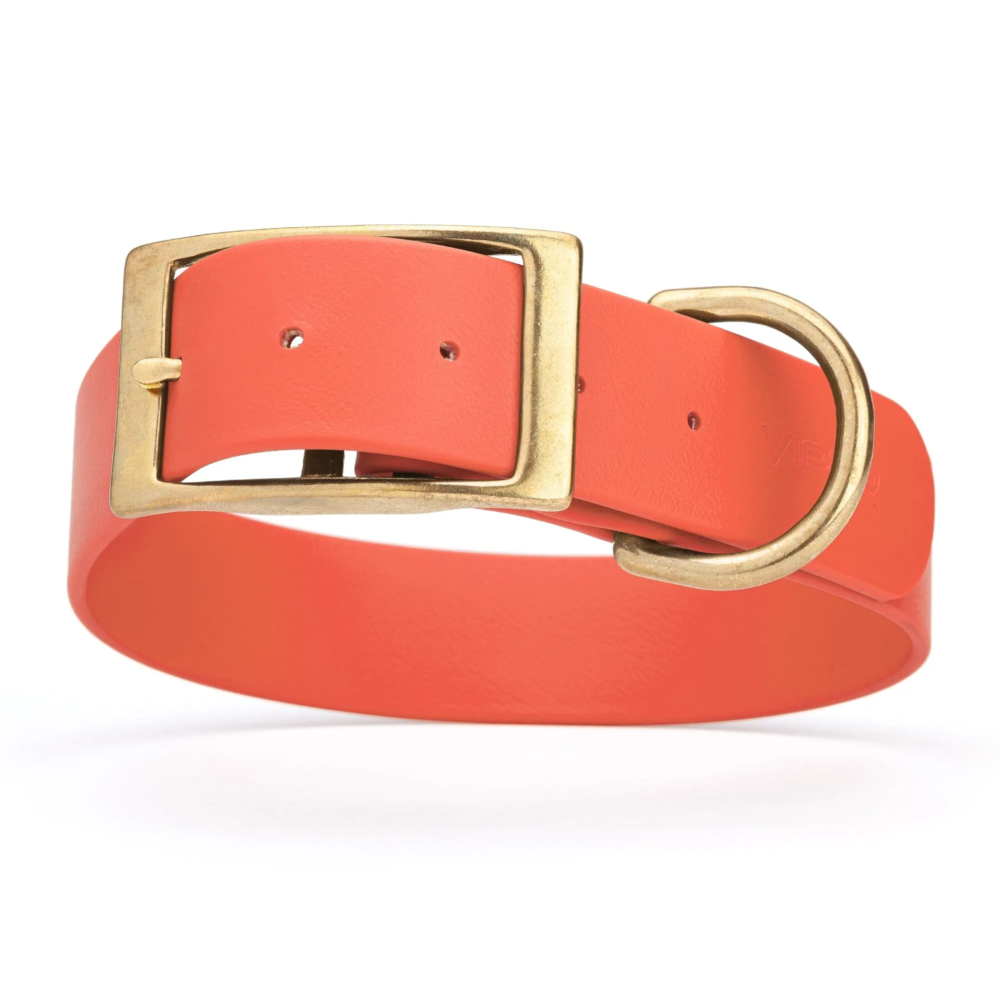 Viper Biothane Waterproof Dog Collar - Brass Hardware - Wide - Size L (16" - 20")